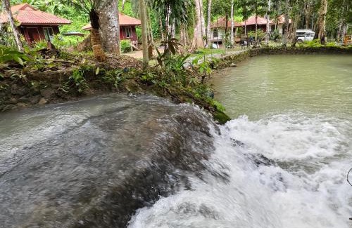 Phanom Hotel | Khaosok Creek and Jungle Resort
