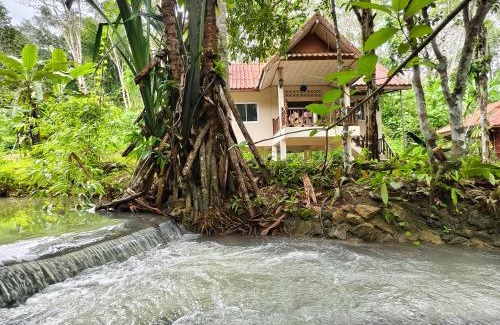 Phanom Hotel | Khaosok Creek and Jungle Resort