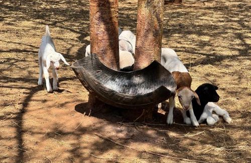 Kajiado County Other | Kichaka Private Camp