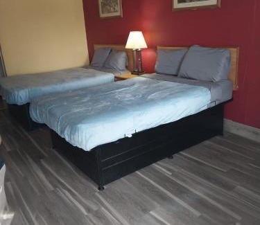 Jackson Apartment | King Bed Hotel Room 209