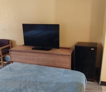 Jackson Apartment | King Bed Hotel Room 209