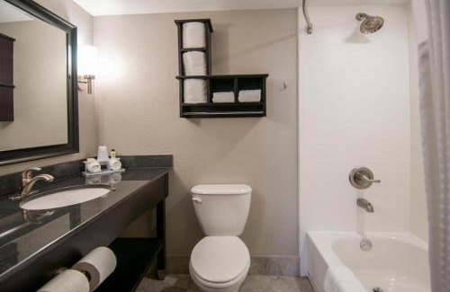 Jackson Apartment | King Bed Hotel Room 220