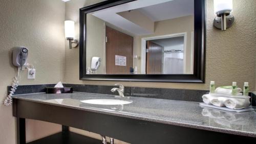 Jackson Apartment | King Bed Hotel Room 220