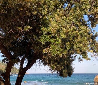 Thasos Apartment | King Studios