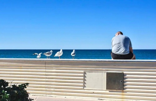 Shelly Beach Apartment | Kings Beach Relaxation - Pool, Beach ZE8