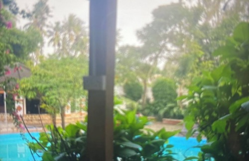 Ukonga Bed & Breakfast | Kiota Jungle Homestay