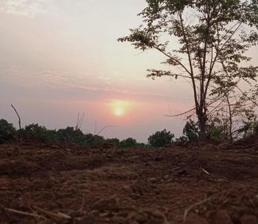 Murbad Other | Kittu's Farm