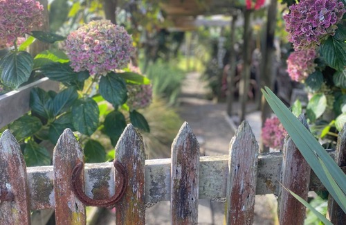 Nukuhou Cabin | Kiwi cabin in paradise