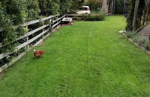 Nukuhou Cabin | Kiwi cabin in paradise
