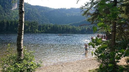 Pichl-Kainisch House | Knödl-Alm Waldhäusl