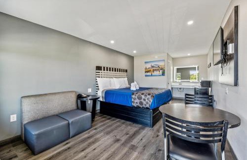 Antioch Hotel | Knights Inn Antioch