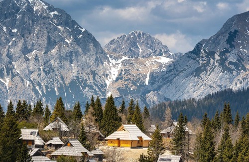 Kamnik Ski Chalet | Koča Žafran - Velika planina
