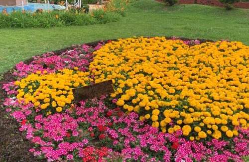 Kodaikanal Hotel | Kodai Pinetree Residency