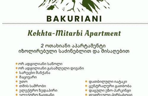Bakuriani Apartment | Kokhta-Mitarbi Apartment B3,206