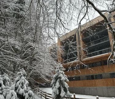 Bakuriani Apartment | Kokhta-Mitarbi Apartment B3,206