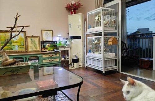 Jinjiang House | koko's garden and cats -4mins walk from jingjusi metro st ation, English-speaking service