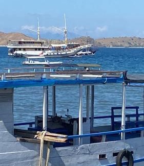 Komodo House | Komodo wisata homestay