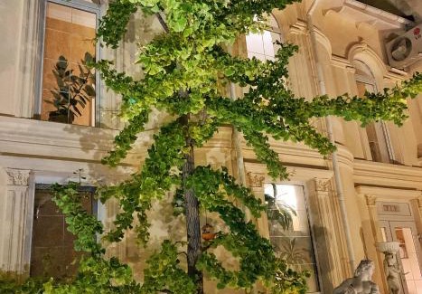 Mykolaiv Oblast Hotel | Korall