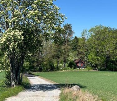 As Municipality House | Koselig hytte på eget tun med varmtvanns utedusj