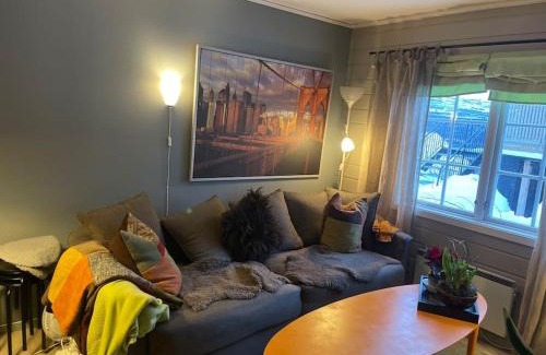 Oppdal Apartment | Koselig leilighet , med parkering og ski in &out.
