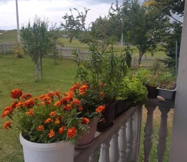 Zabljak House | Kovcica Rooms