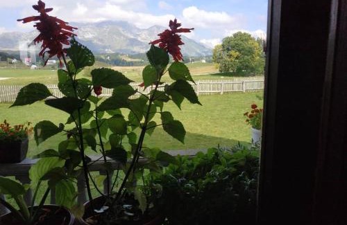 Zabljak House | Kovcica Rooms