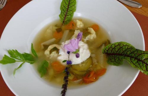 Neuschoenau Hotel | Kraftquelle Waldhäuser