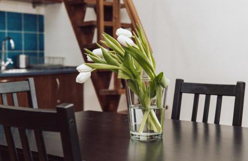 City Centre Apartment | Kraków Wawel Zwierzyniecka