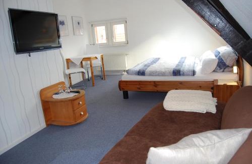 Mainz-Bingen Apartment | Kronenhof - Wein und Ferien