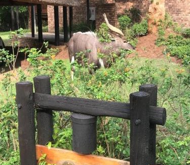 Hazyview Ski Chalet | Kruger Park Lodge, Kubu Lodge 224