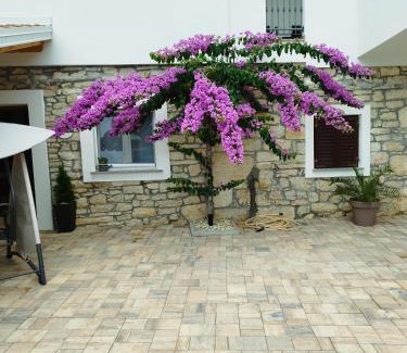 Novigrad Villa | Kuća za odmor IVANA