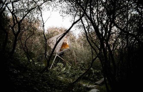 Treknow House | Kudhva 3