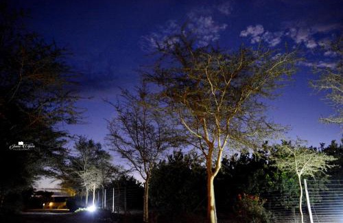 Addo House | Kududu Guest House