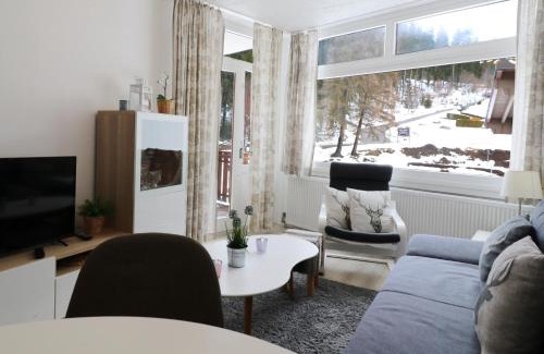 Schluchsee Apartment | Kurhotel Schluchsee App 1511 - Schwarzwaldhirsch - mit Innenpool und Sauna, Schluchsee