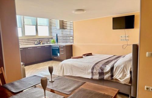 Dniprovs'kyi District Apartment | Kvartira vozle metro Chernigovskaya