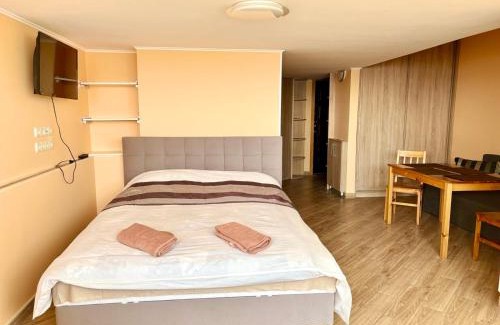 Dniprovs'kyi District Apartment | Kvartira vozle metro Chernigovskaya