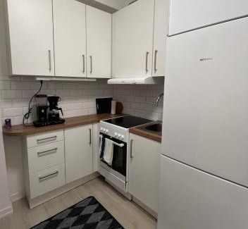 Norrkoping City Centre Apartment | Lägenhet med litet kök, Norrköping