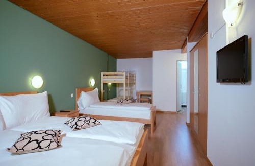 Ruetli Hotel | Löwen Lodge