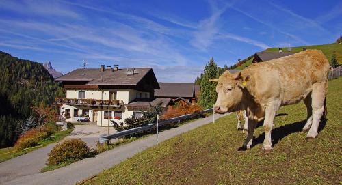 La Valle House | Lüch da Spescia