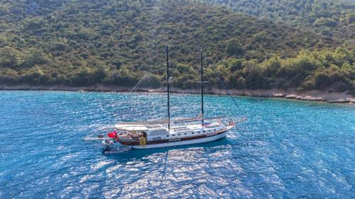 Bodrum City Center Boat Rental | Lıfe ıs lıfe