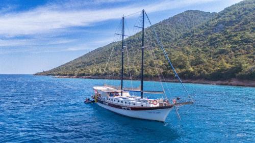 Bodrum City Center Boat Rental | Lıfe ıs lıfe