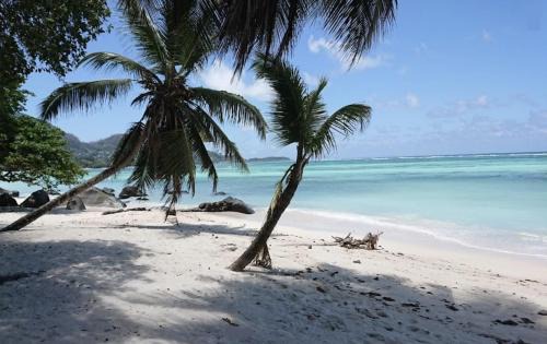 Mahe Island Apartment | L'échappée du Cap - Spacious Self Catering Apartment