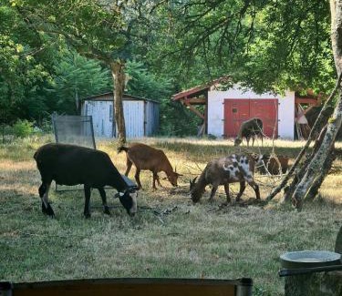 Brocas Bed & Breakfast | L'écrin du Temps