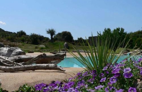 Belgodere Apartment | L'Alivi di l'Osari