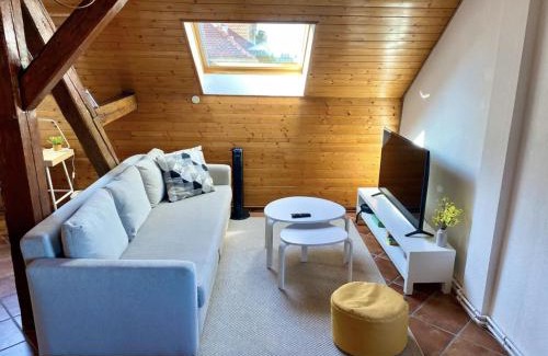 Mulhouse Apartment | L’Alsacien Cosy : Duplex - Netflix - Wifi/Fibre