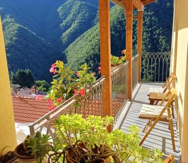 Stazzema House | L'Antico Asilo