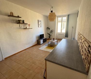 Bagnols-sur-Ceze Apartment | l'oasis bagnolet