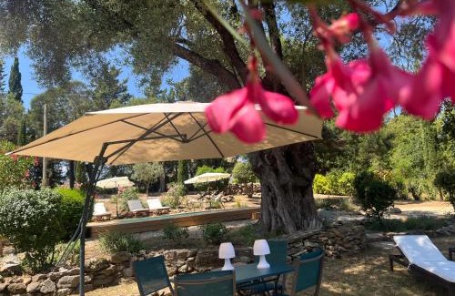 Oletta House | L’oléado