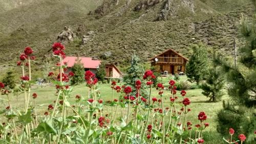 Cuyo Cabin | La Araucaria