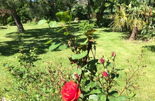 Moussoulens Cottage | La Bergerie - Pierre Reverdy for 4 persOustal del Sol 6/7 pers